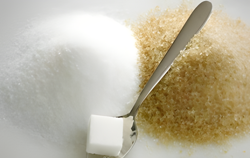 Morbi vitae purus dictum, ultrices tellus in, gravida lectus. 